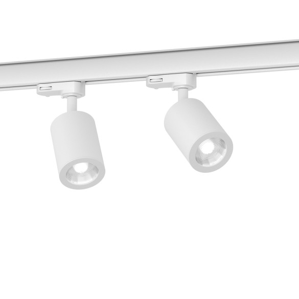 CICCIO 8 spotlight - track