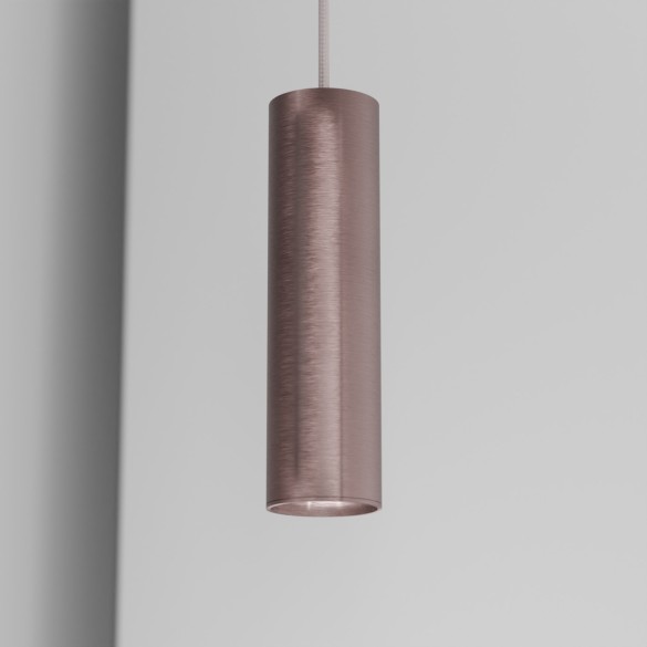 Organo CICCIO 21 - incasso