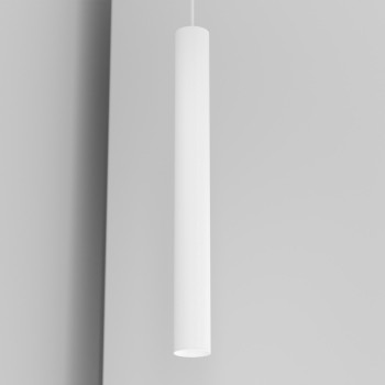 Organo CICCIO 55 - binario