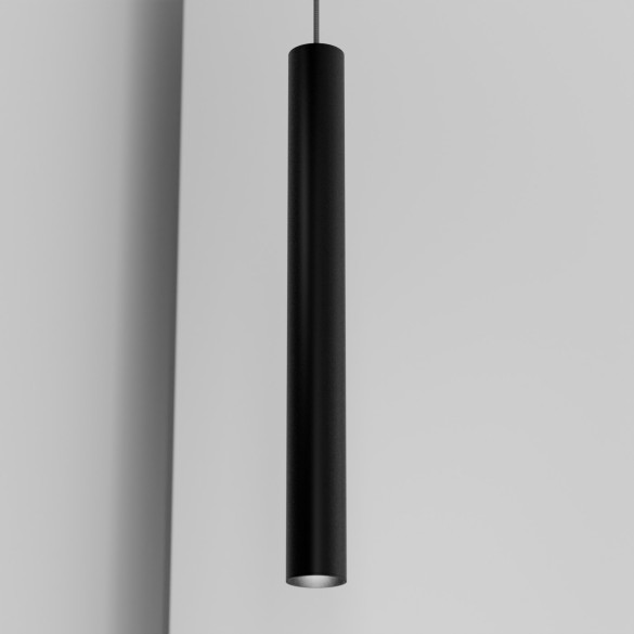 Organo CICCIO 55 - incasso