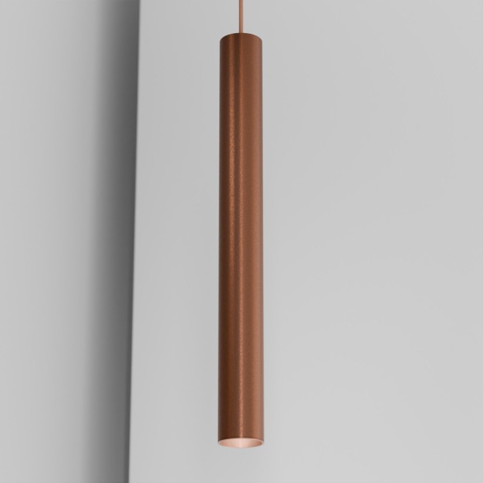 Organo CICCIO 55 - incasso