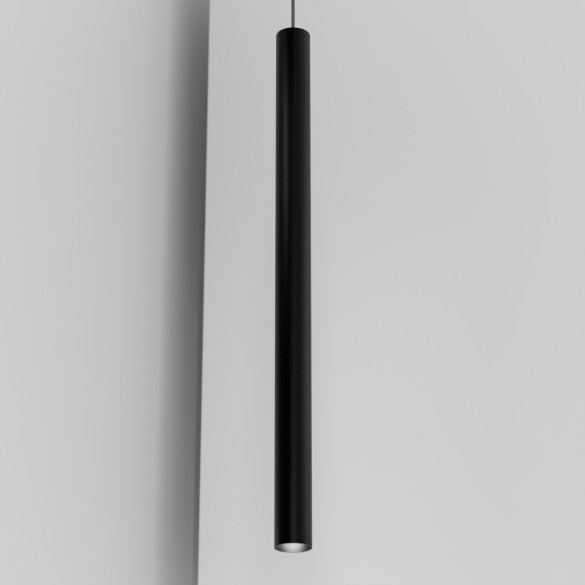 Organo CICCIO 89 - incasso