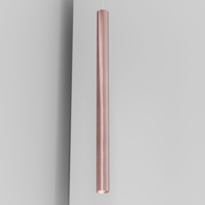 CICCIO 89 organ - takings