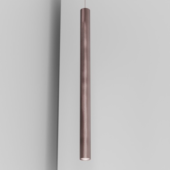 Organo CICCIO 89 - incasso