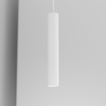 Organo SMILZO 21 - binario