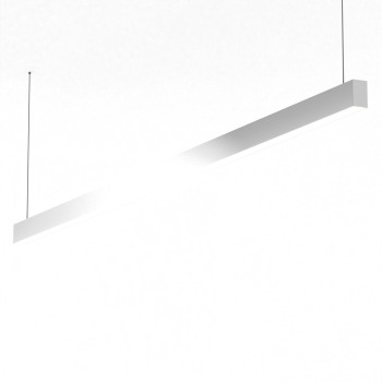 FYLOS 15 - sospeso 2